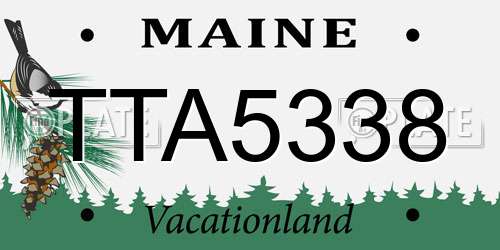 TTA5338 Maine License Plate