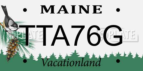 TTA76G Maine License Plate
