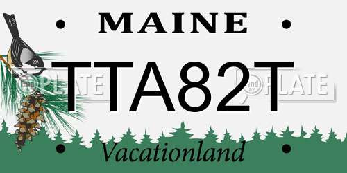 TTA82T Maine License Plate