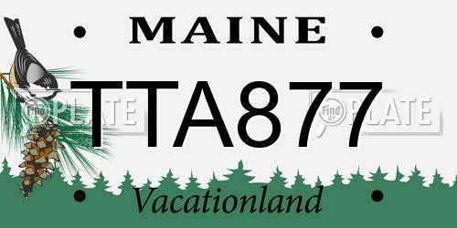 TTA877 Maine License Plate