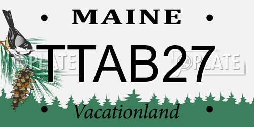 TTAB27 Maine License Plate