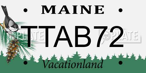 TTAB72 Maine License Plate