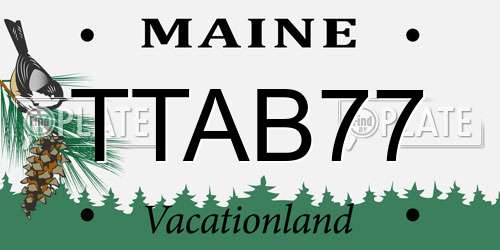 TTAB77 Maine License Plate