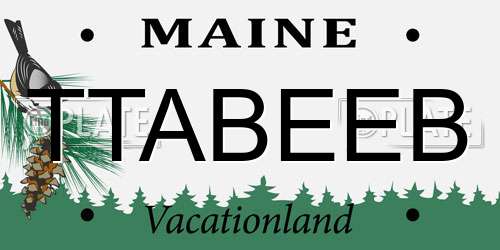 TTABEEB Maine License Plate