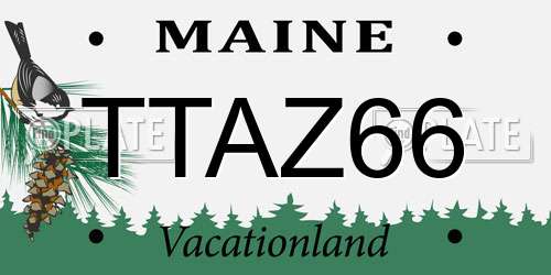 TTAZ66 Maine License Plate