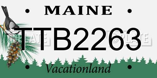 TTB2263 Maine License Plate