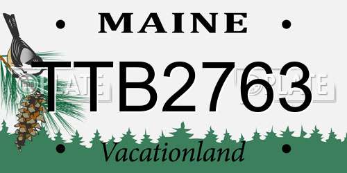 TTB2763 Maine License Plate