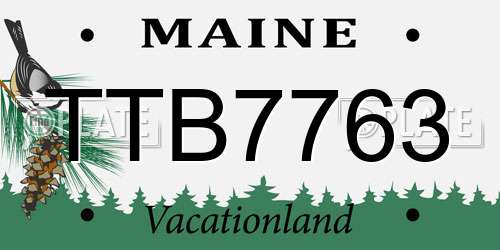 TTB7763 Maine License Plate