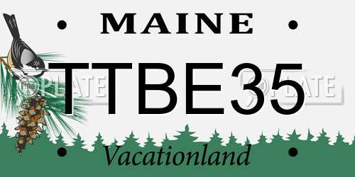 TTBE35 Maine License Plate
