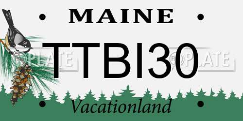 TTBI30 Maine License Plate