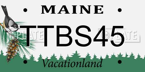 TTBS45 Maine License Plate