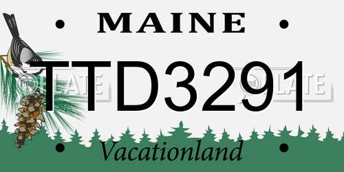 TTD3291 Maine License Plate