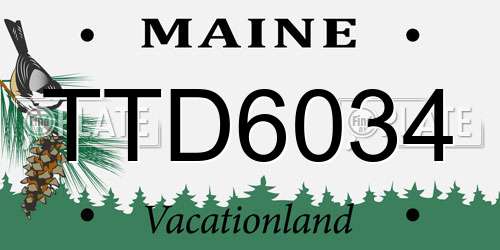 TTD6034 Maine License Plate
