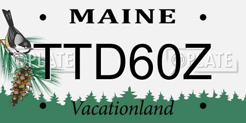 TTD60Z Maine License Plate