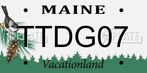 TTDG07 Maine License Plate