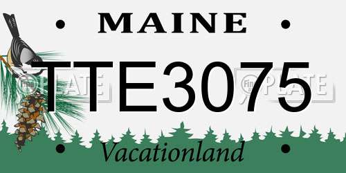 TTE3075 Maine License Plate