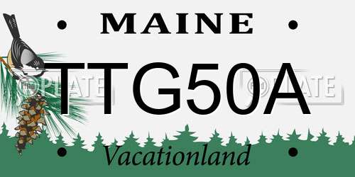 TTG50A Maine License Plate