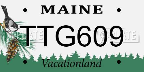 TTG609 Maine License Plate