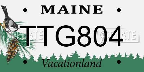 TTG804 Maine License Plate