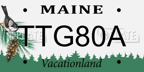 TTG80A Maine License Plate