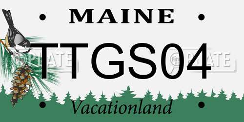TTGS04 Maine License Plate