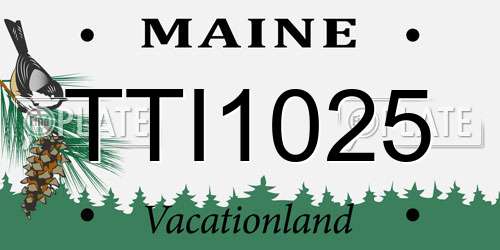 TTI1025 Maine License Plate
