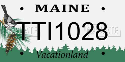 TTI1028 Maine License Plate