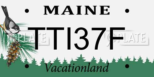 TTI37F Maine License Plate