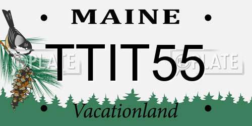 TTIT55 Maine License Plate