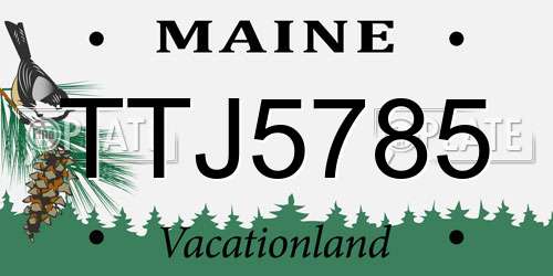 TTJ5785 Maine License Plate