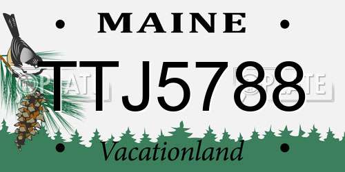 TTJ5788 Maine License Plate