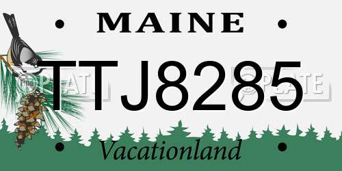 TTJ8285 Maine License Plate