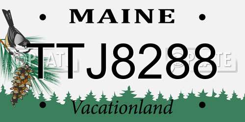 TTJ8288 Maine License Plate