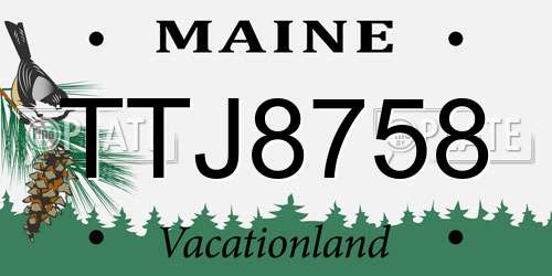 TTJ8758 Maine License Plate