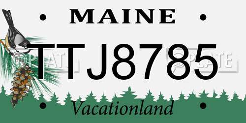 TTJ8785 Maine License Plate