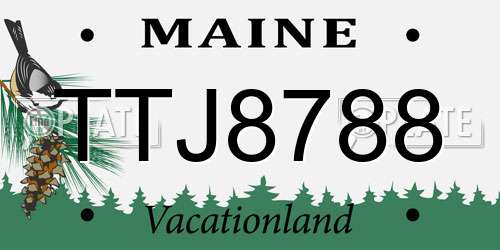 TTJ8788 Maine License Plate