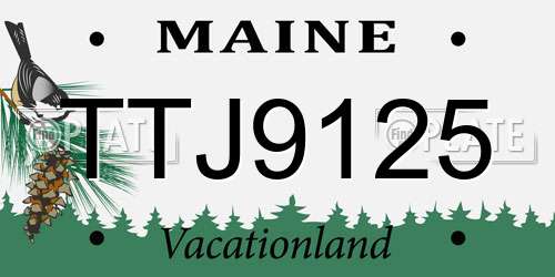 TTJ9125 Maine License Plate