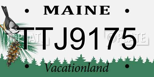 TTJ9175 Maine License Plate