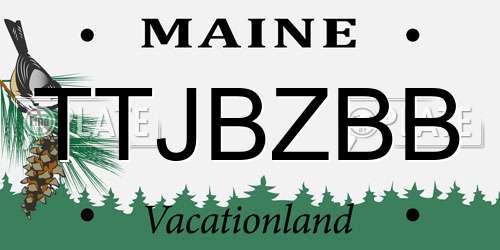 TTJBZBB Maine License Plate