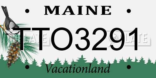 TTO3291 Maine License Plate