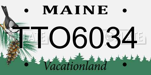 TTO6034 Maine License Plate