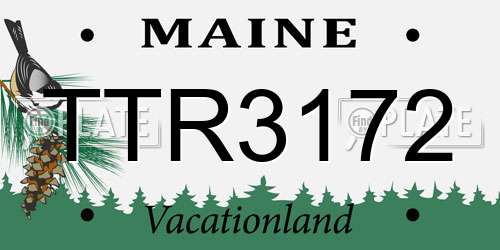 TTR3172 Maine License Plate