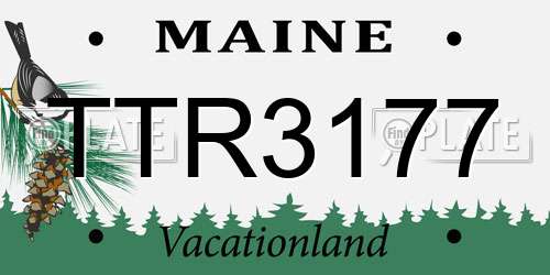 TTR3177 Maine License Plate