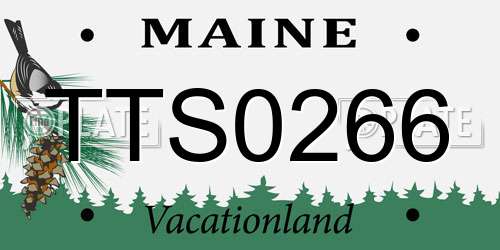 TTS0266 Maine License Plate