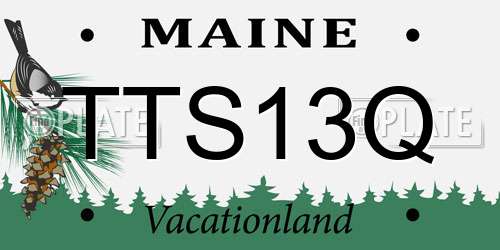 TTS13Q Maine License Plate