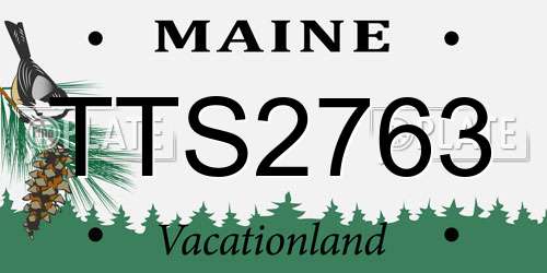 TTS2763 Maine License Plate
