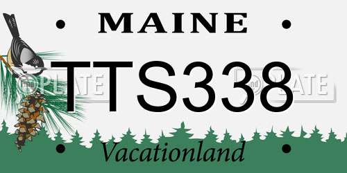 TTS338 Maine License Plate