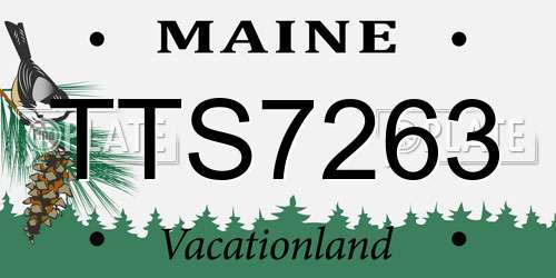 TTS7263 Maine License Plate