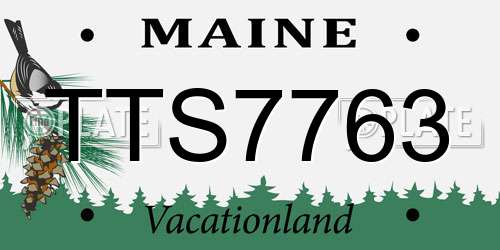 TTS7763 Maine License Plate