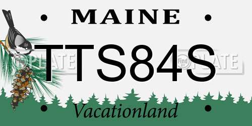 TTS84S Maine License Plate